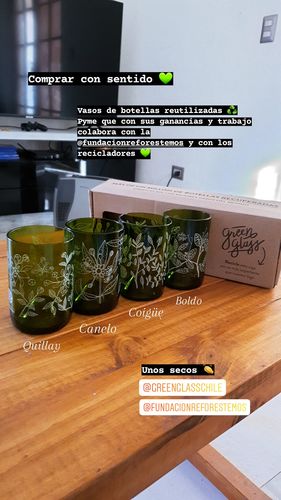 Customer photo review of Reforestemos Juego de 4 Vasos