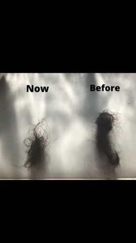 Customer photo review of Growth & Shine Hair Oil