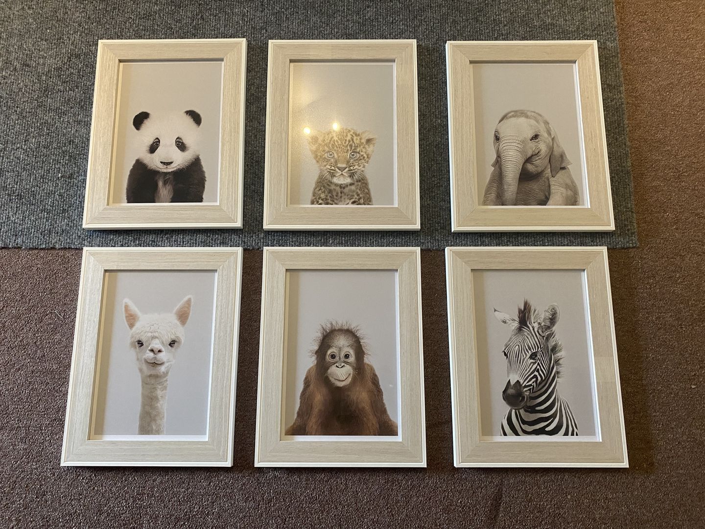 Customer photo review of Orangutan Wall Art Print