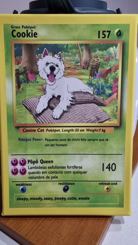 Customer photo review of PokePet Canvas