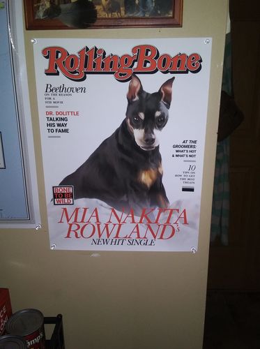 Customer photo review of Posing Pig Custom Print