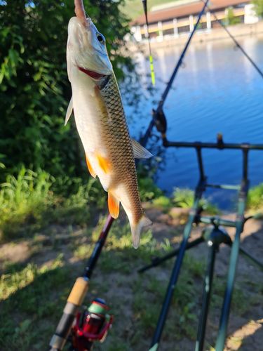 Customer photo review of 2g Smart Fishing Float