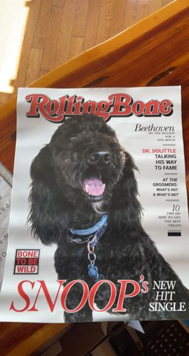 Customer photo review of Posing Pig Custom Print