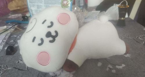Customer photo review of [Official] BT21 BABY MINI PILLOW CUSHION