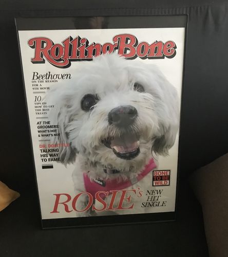 Customer photo review of Posing Pig Custom Print
