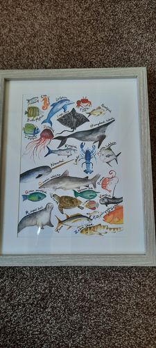 Customer photo review of FREE PRINT (RANDOMLY SELECTED)