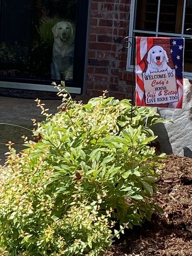 Customer photo review of Welcome To Dog House - Personalized Custom Garden Flag