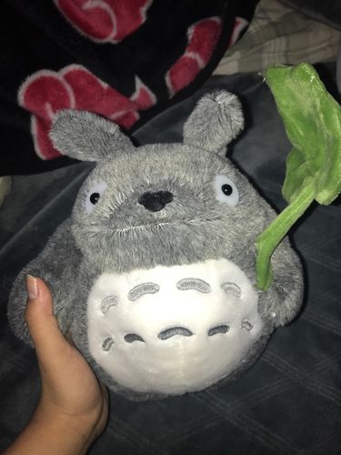 Customer photo review of Kawaii Style Totoro Plush