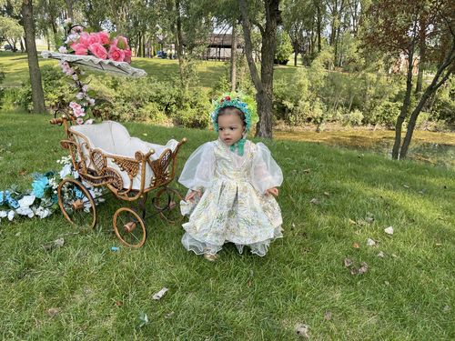 Customer photo review of Flower Puffy Princess Dress