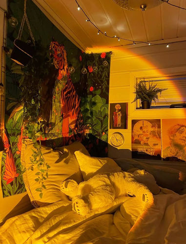 Customer photo review of The Sunset Projector