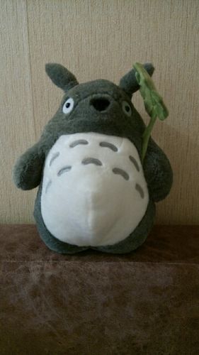 Customer photo review of Kawaii Style Totoro Plush