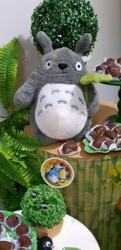 Customer photo review of Kawaii Style Totoro Plush
