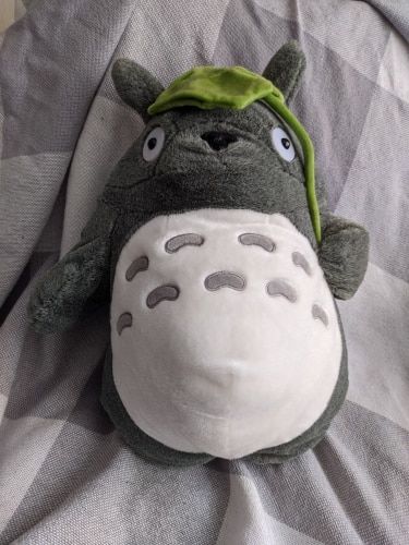 Customer photo review of Kawaii Style Totoro Plush
