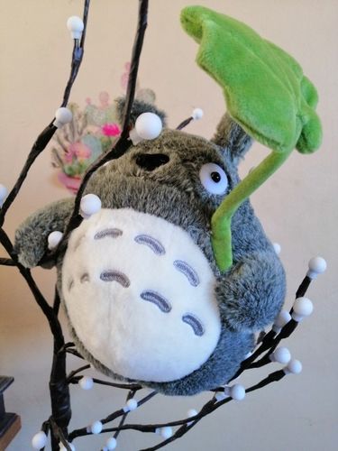 Customer photo review of Kawaii Style Totoro Plush