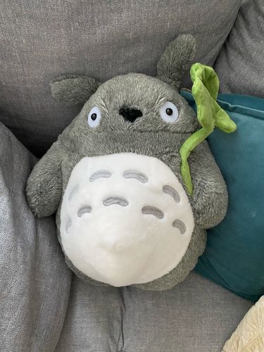 Customer photo review of Kawaii Style Totoro Plush