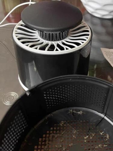 Customer photo review of Flyminator Bug Zapper - Indoor Mosquitoes & Insect Killer 3