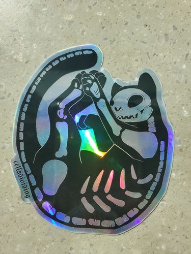 Customer photo review of Skeleton Cat, Holographic Sticker