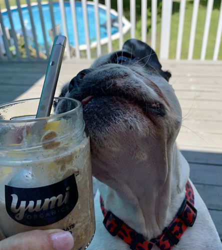 Customer photo review of Yumi Starter Pack