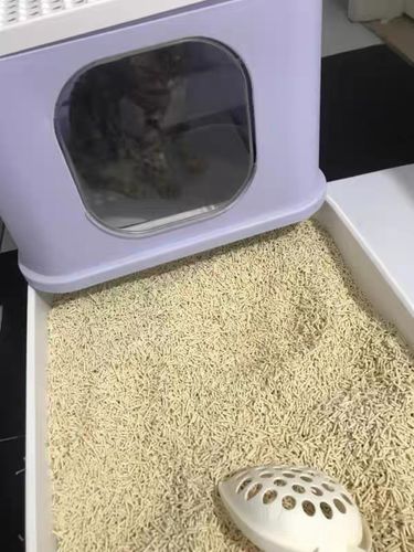 Customer photo review of Furrytail Michu Natural Clumping Tofu Cat Litter 2.5kg/6L
