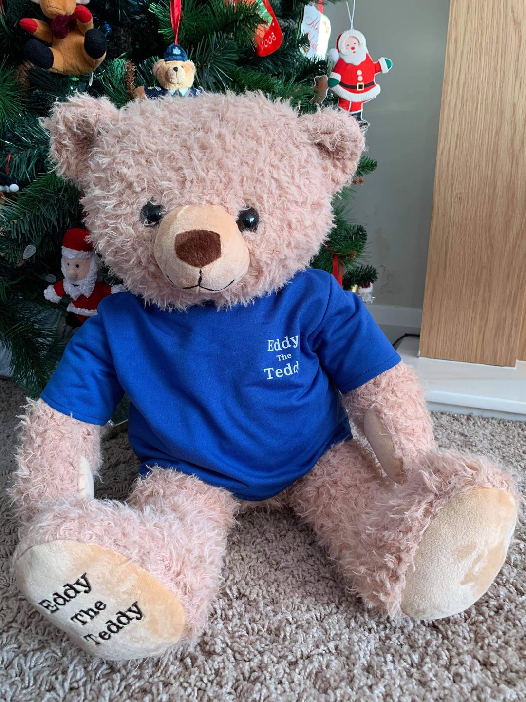 Customer photo review of 65cm Original Eddy the Teddy