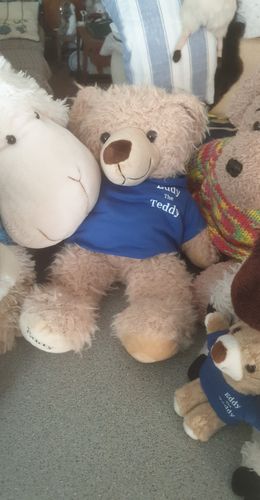 Customer photo review of Eddy The Teddy Bear