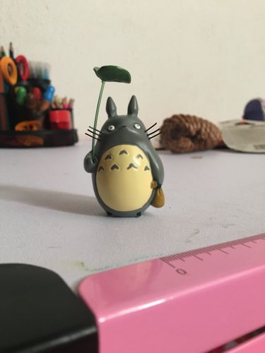Customer photo review of Figurines Mon Voisin Totoro