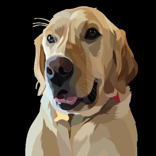 Customer photo review of Custom Pet Stickers