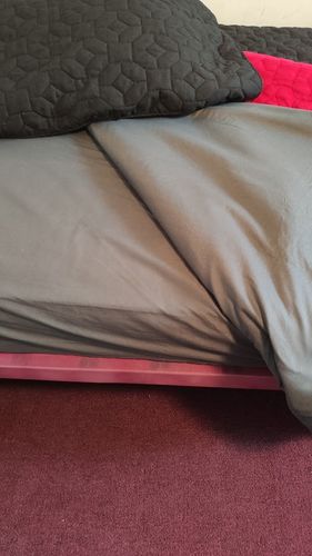 Customer photo review of Edredón Ligero Koala -Microfibra Ultra Suave -Tamaño y Color a elegir