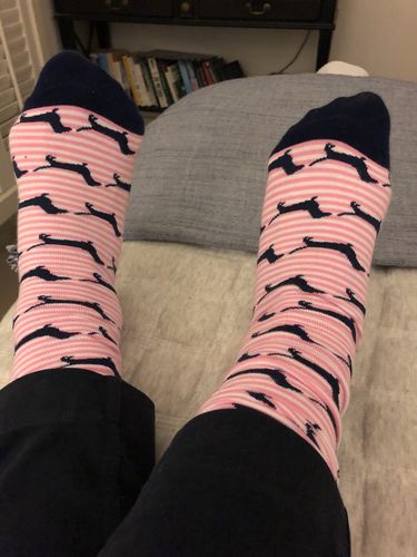 Customer photo review of Pink Stripe Dachies