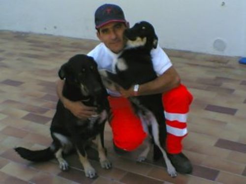 Customer photo review of 3 Conf. Vitamina C Pura