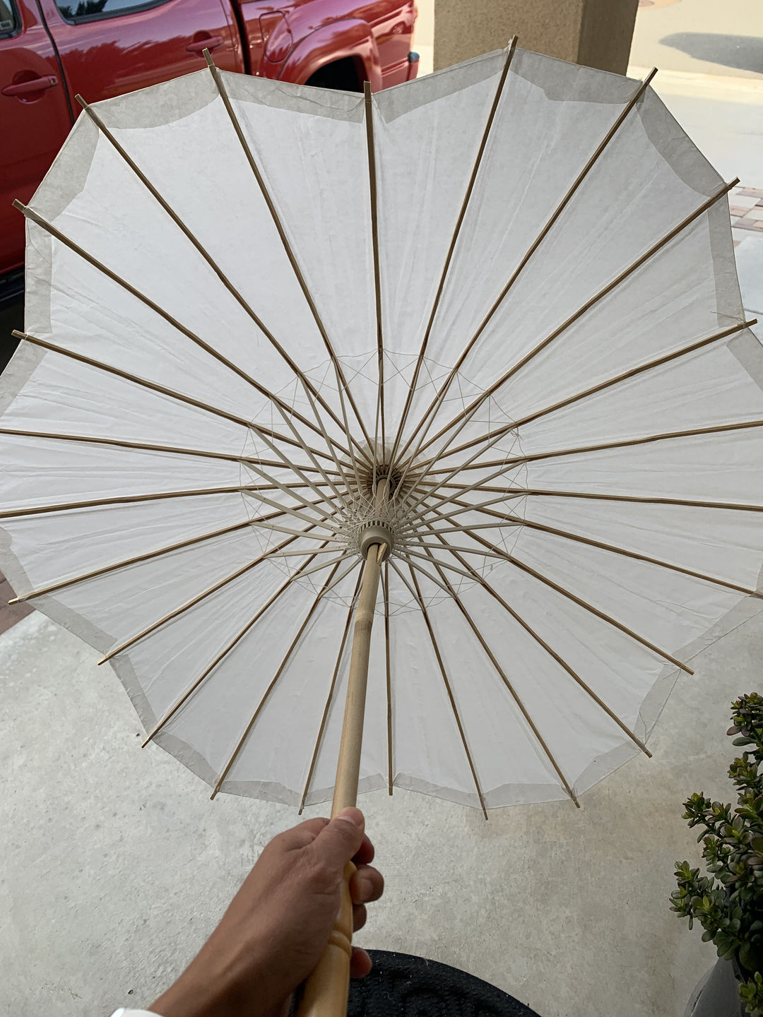 Customer photo review of 32" White Paper Parasol Umbrella, Scallop Blossom Shaped