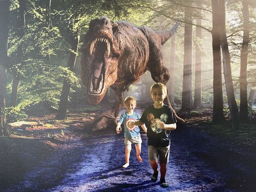 Customer photo review of Dino Forest