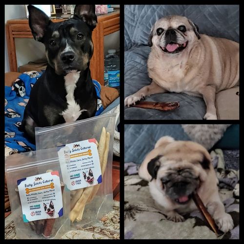 Customer photo review of 6 Inch Jumbo Bully Stick