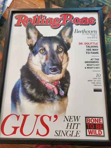 Customer photo review of Posing Pig Custom Print