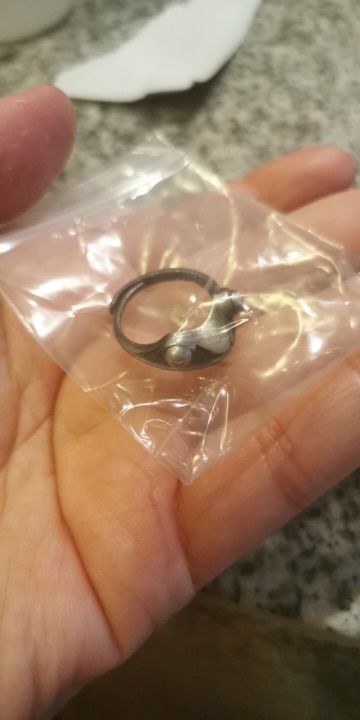 Customer photo review of Silver Frog Ring
