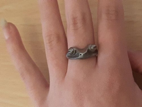 Customer photo review of Silver Frog Ring