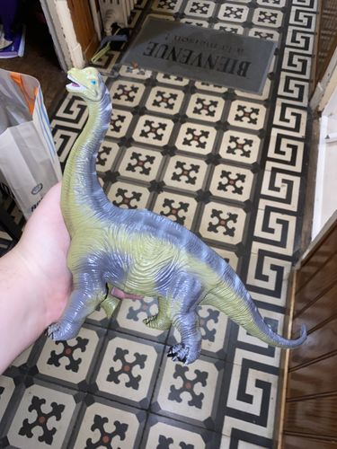 Customer photo review of Figurine Dinosaure Brachiosaure