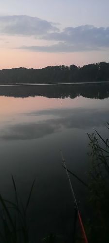 Customer photo review of USB Speed Charger inkl. 2x Akkus