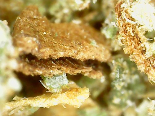 Customer photo review of ZeScope - Bilder ganz nah erleben 1080p