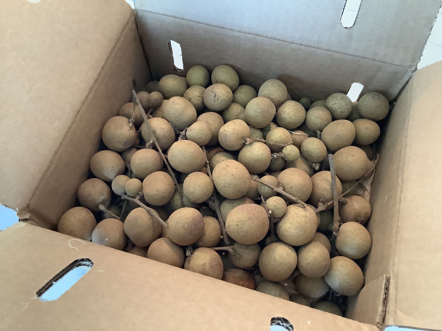 Customer photo review of Longan Box