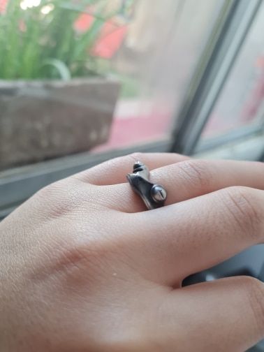 Customer photo review of Silver Frog Ring