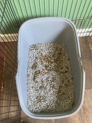 back 2 nature litter