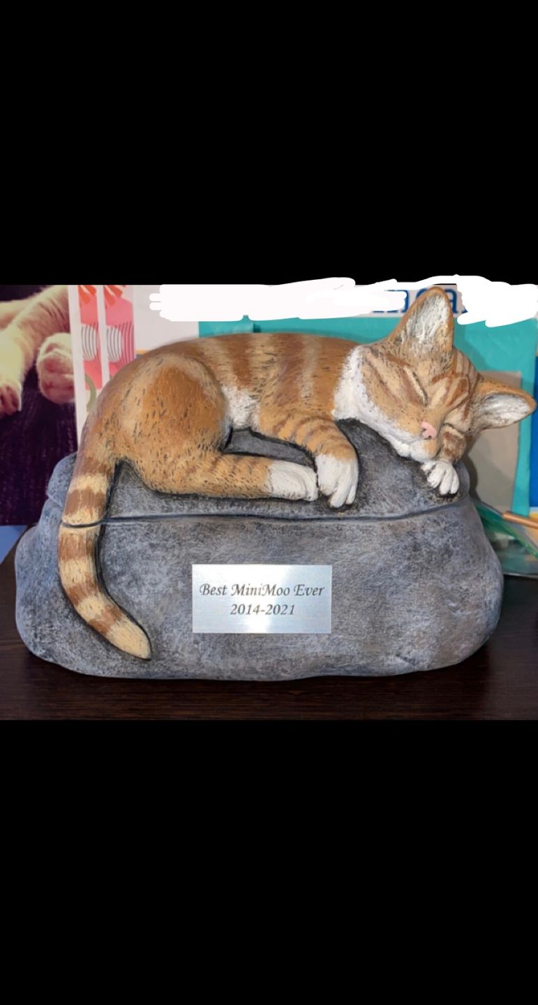 Customer photo review of Short Haired Custom Painted Ceramic Cat Urn - No Wings