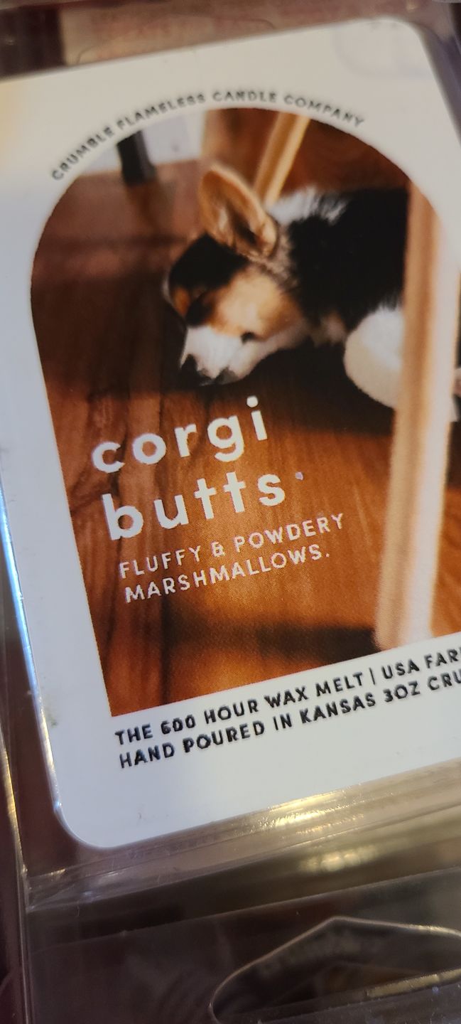 Customer photo review of Corgi Butt Wax Melts