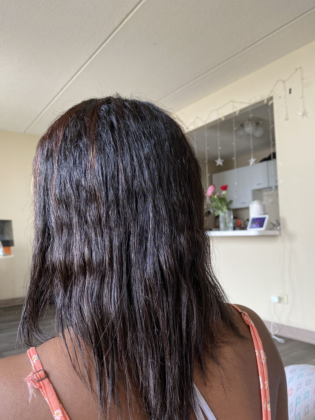 Customer photo review of Therapy Liss No Frizz Progressive Brush 1L - Sorali