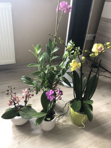 Customer photo review of Überraschungspaket - Surprise