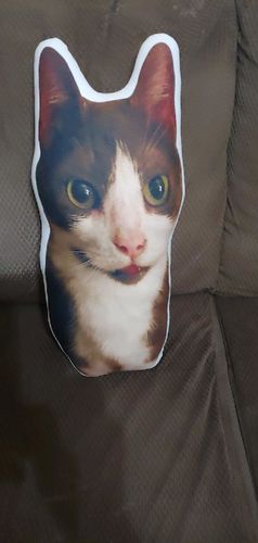 Customer photo review of Create A Custom Cat Pillow