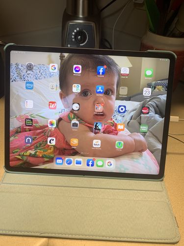 Customer photo review of Premium Leather iPad Case