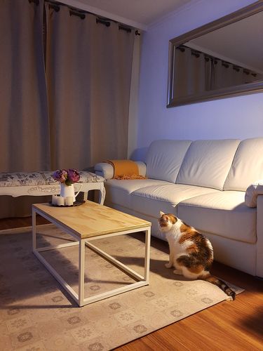 Customer photo review of Mesa de Centro MIMA Rectangular BLANCA