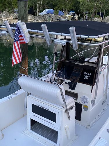 Customer photo review of American Flag